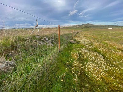 /international/es/azuaga-extremadura-310097032984/