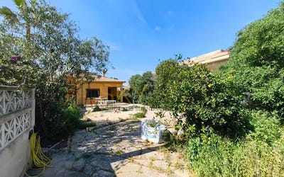 /international/es/llucmajor-balearic-islands-310106938540/