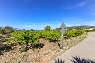 /international/es/orba-valencian-community-310105348614/