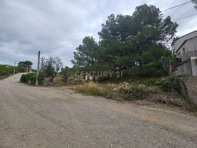 /international/es/cabra-del-camp-catalonia-310094778350/