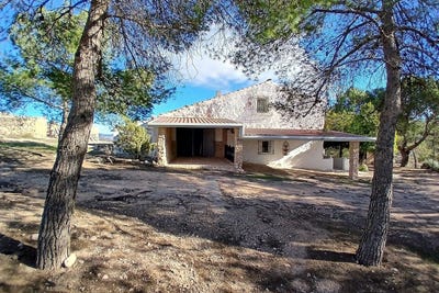 /international/es/caudete-castile-la-mancha-310108900803/