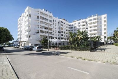 /international/es/la-campana-andalusia-310108787891/