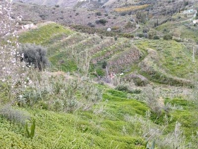 /international/es/torrox-andalusia-310106116260/