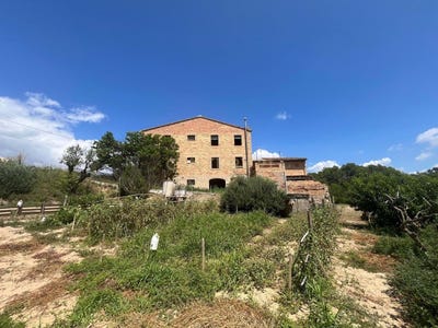 /international/es/pla-del-penedes-el-catalonia-310101227847/?lang=it