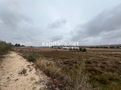 /international/es/agullent-valencian-community-310108429463/