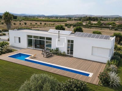 /international/es/elche-valencian-community-310109531899/