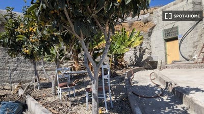 /international/es/santa-cruz-de-tenerife-canary-islands-310108555712/