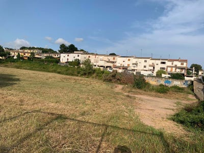 /international/es/cl-alosa-l-7-tarragona-tarragona-catalonia-310109819021/