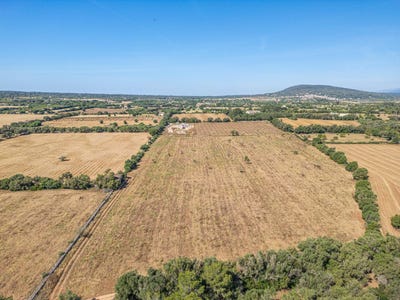 /international/es/sencelles-balearic-islands-310109015454/