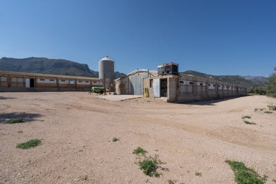 /international/es/roquetes-catalonia-310108943233/
