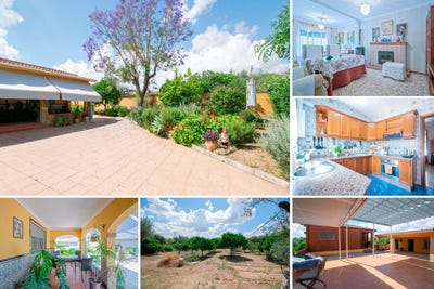 /international/es/mairena-del-aljarafe-andalusia-310108000863/
