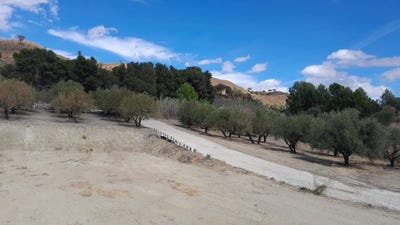 /international/es/casarabonela-andalusia-310107302451/