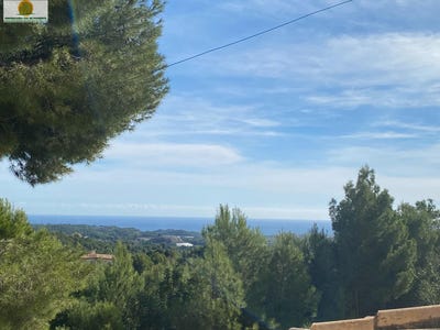 /international/es/callosa-d-en-sarria-valencian-community-310109148217/