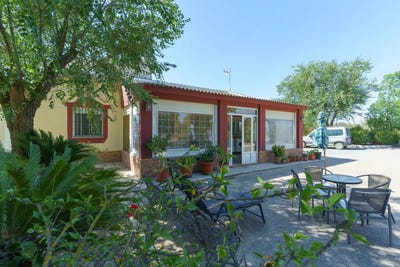 /international/es/la-palma-del-condado-andalusia-310109924374/