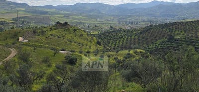 /international/es/alora-andalusia-310104283902/