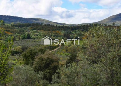 /international/es/perales-del-puerto-extremadura-310101273766/