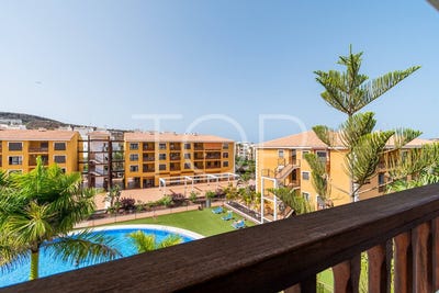 /international/es/palm-mar-canary-islands-310110290399/