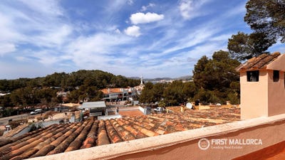 /international/es/carrer-de-nunyo-sanc-7-07183-rotes-velles-illes-balears-spain-rotes-velles-balearic-islands-310107088412/