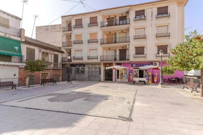 /international/es/pinos-puente-andalusia-310103536608/
