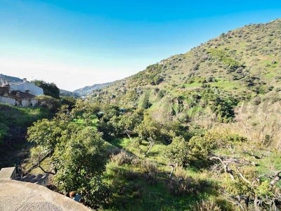 /international/es/torrox-andalusia-310100742066/