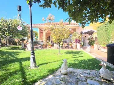 /international/es/torrevieja-valencian-community-310101209596/?lang=es