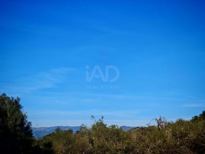 /international/es/cami-de-son-bernat-costitx-balearic-islands-310108950281/