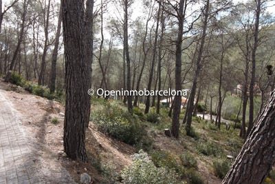 /international/es/olivella-catalonia-310108455937/