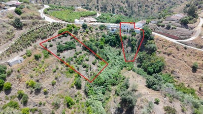 /international/es/canillas-de-aceituno-andalusia-310108893470/