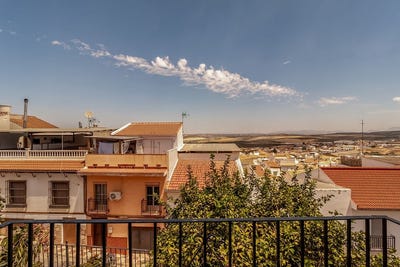 /international/es/alameda-andalusia-310100668766/