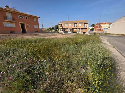 /international/es/avenida-de-la-libertad-calasparra-region-of-murcia-310108002512/