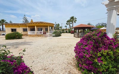 /international/es/alicante-valencian-community-310108650713/
