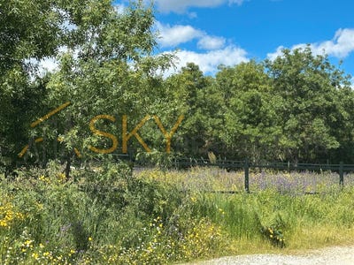 /international/es/miraflores-de-la-sierra-madrid-310100289477/