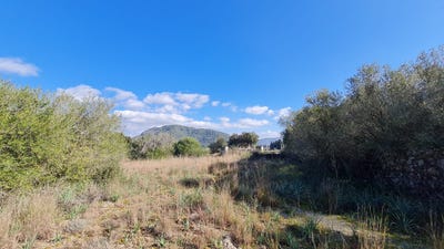 /international/es/ma-2200-sa-pobla-balearic-islands-310101736442/