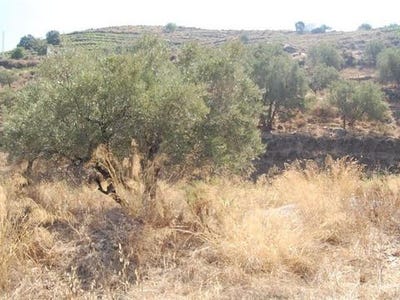 /international/es/competa-andalusia-120094749113/