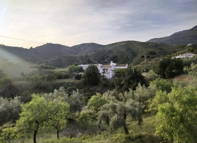 /international/es/ds-diseminado-sedella-andalusia-310109200652/