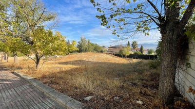 /international/es/gabias-las-andalusia-310103538225/