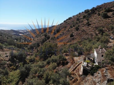 /international/es/sayalonga-andalusia-310105970038/