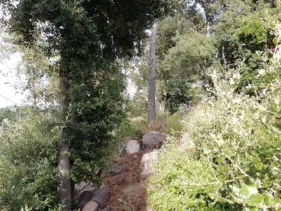 /international/es/dosrius-catalonia-310108698007/