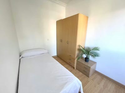 /international/es/avenida-alvar-nez-sevilla-andalusia-310095317868/