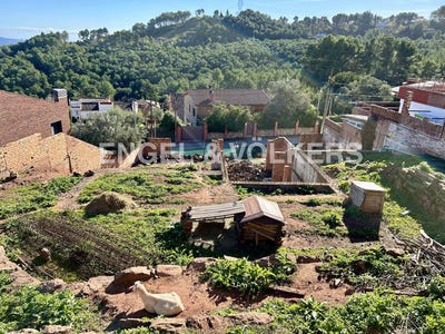 /international/es/cervello-catalonia-310096028656/