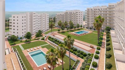 /international/es/san-miguel-de-salinas-valencian-community-310100739545/