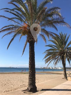 /international/es/roses-catalonia-310101188010/?lang=en