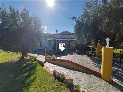 /international/es/luque-andalusia-120090826322/