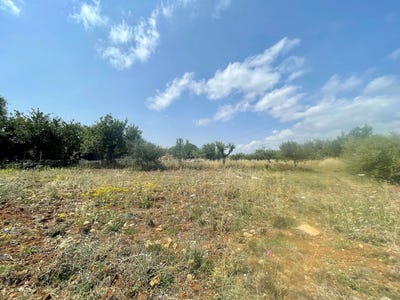 /international/es/648-diseminado-poligono-2-pollenca-balearic-islands-310101736748/