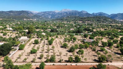 /international/es/poligono-14-parcela-97-ses-cremades-selva-balearic-islands-310109201248/