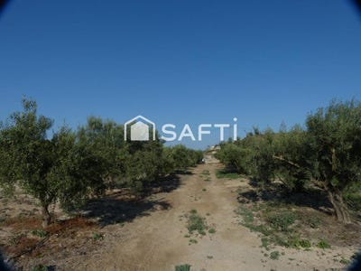 /international/es/fortuna-region-of-murcia-310101277186/?lang=de