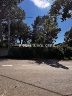/international/es/cervello-catalonia-310100637733/
