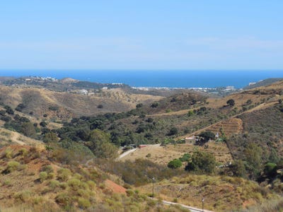 /international/es/la-cala-de-mijas-andalusia-310101083247/?lang=zh-tw