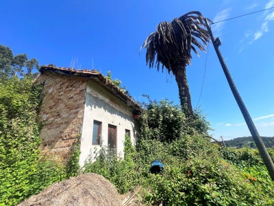 /international/es/al-lago-castrillon-asturias-310108157107/