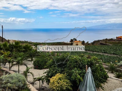 /international/es/santiago-del-teide-canary-islands-310102701309/